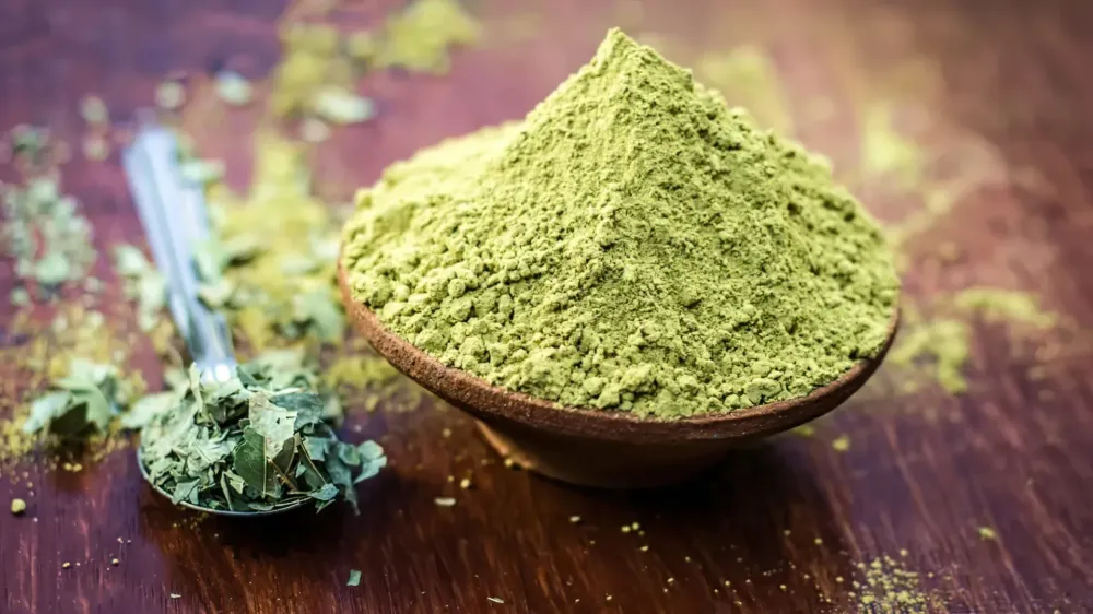 végétal et plante à Saint-Philbert-de-Grand-Lieu